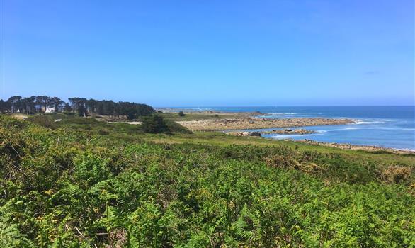 L'Île-Grande, en Pleumeur-Bodou : balade autour de l'île - Stereden, Village de Chalets