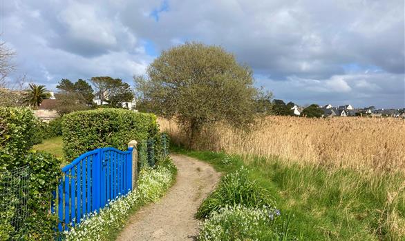 L'Île-Grande, en Pleumeur-Bodou : sentier littoral le tour de l'île - Stereden, Village de Chalets