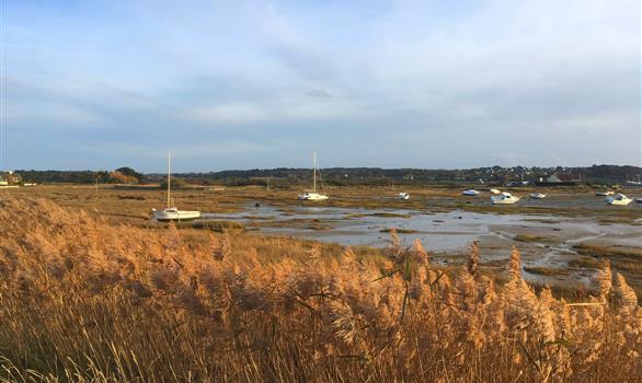 L'Île-Grande, en Pleumeur-Bodou : le marais à marée basse - Stereden, Village de Chalets