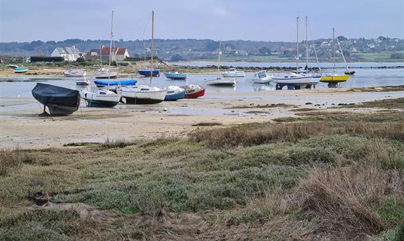 L'Île-Grande, en Pleumeur-Bodou : le marais à marée basse - Stereden, Village de Chalets