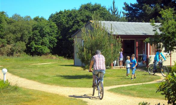 Les gîtes sont dispersés dans le parc - Stereden, Village de Chalets
