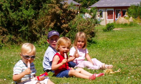 Dégustation au soleil ! - Stereden, Village de Chalets