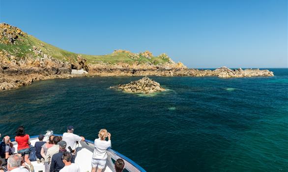 Visite de la Réserve Naturelle des 7 Îles à Perros-Guirec - Stereden, Village de Chalets